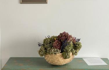 Apartamenty Cud Miód - Foto 14