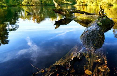 Cosy house with workplace, balcony and garden 30 min to Marienburg - Foto 42