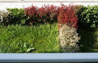 La Rocca Terrazza - Foto 18