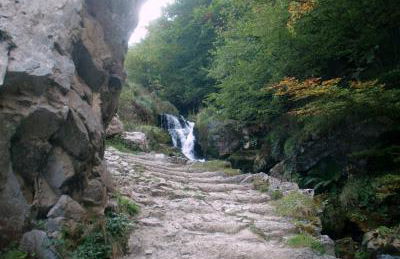 El Molin de Eloy - Foto 17