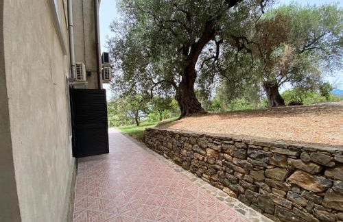 La casa del Maestro - Foto 25