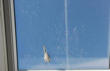 Aroma das Tílias - Foto 51