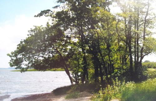 Ferienwohnung für 2 PersRankwitz,Usedom - Foto 19