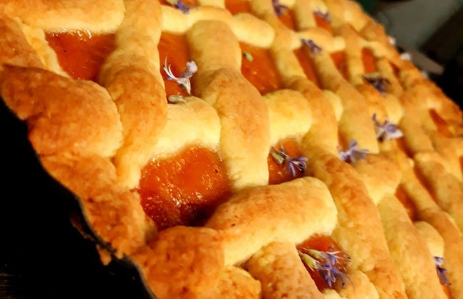 Bio Agriturismo Valle dei Calanchi - Foto 39