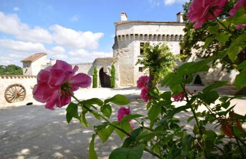 Castle near Agen with Shared Pool - Foto 39