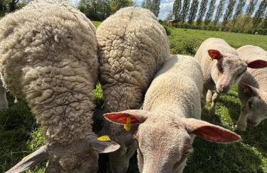 Mesnil & Une Nuit - Hébergements insolites en campagne normande - Foto 12