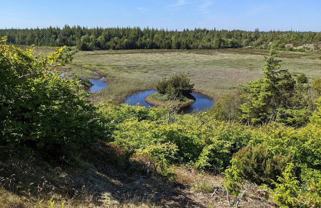 Renovated Retreat With Pool - By Traum Ferienwohnungen - Foto 22