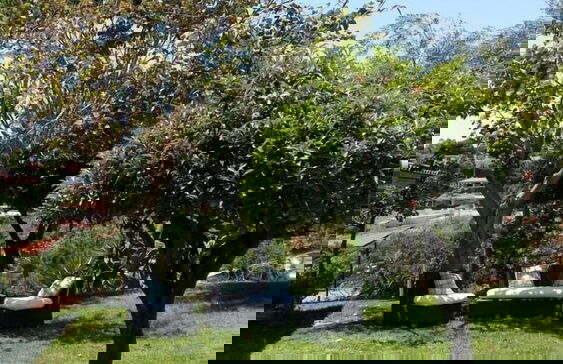 Maison Sainte Marie Holiday Accomodation - Foto 16