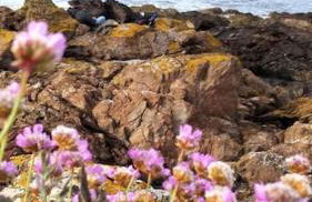 Comfy Coldingham Flat - Photo 9