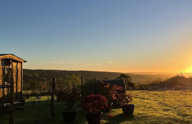 Luxury Shepherd's Hut Style Cabin With Views - Photo 22