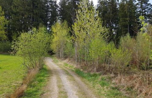 Ferienappartement am Nadenberg - Foto 15