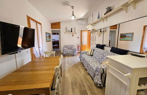 La flabellina blu - Foto 40