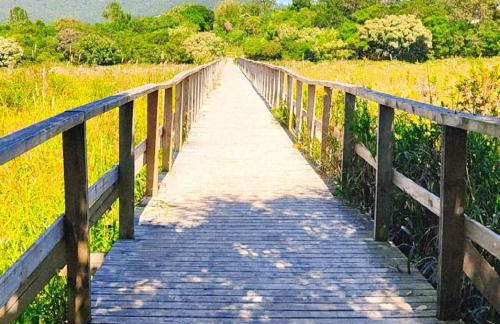 Apartamento Vila dos Sábias - Foto 25