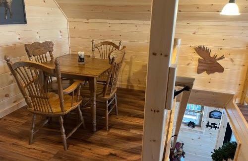 Blissful Bear - Foto 23