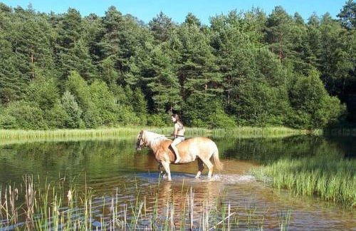 Schröderhof - Photo 7