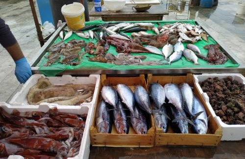 Aspra al delfino blu - Foto 36