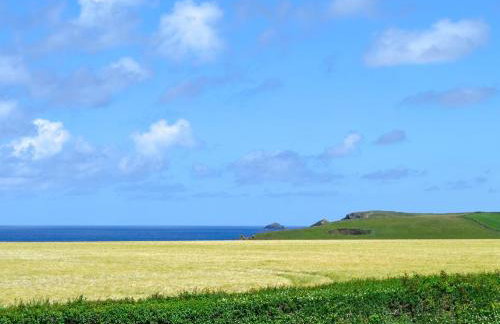 St Cadoc Cottage - Foto 13