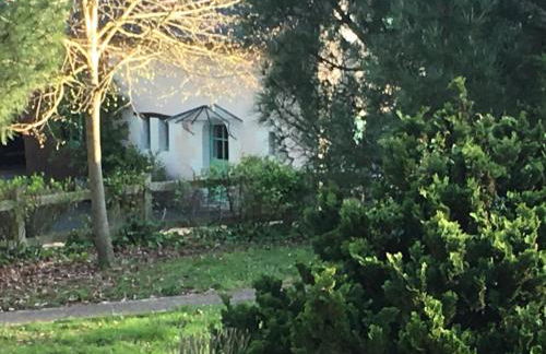 le petit clos - Photo 5