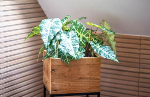 Apartment Schule Altes Land by Interhome - Photo 10