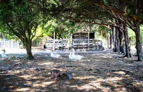 The Clubhouse - Lady Lake Farm Getaway! - Foto 37