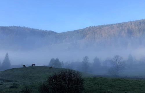 Schwarzwald Loft Menzenschwand - Foto 12