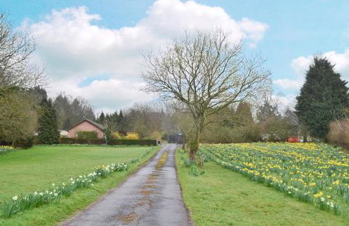 West View - Photo 15