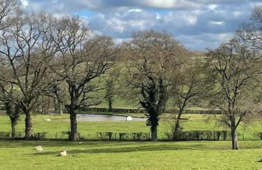 Little gem at foot of Malvern Hills - Foto 15