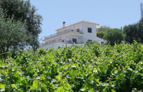 Vine Ridge Studio and Apartment - Foto 8