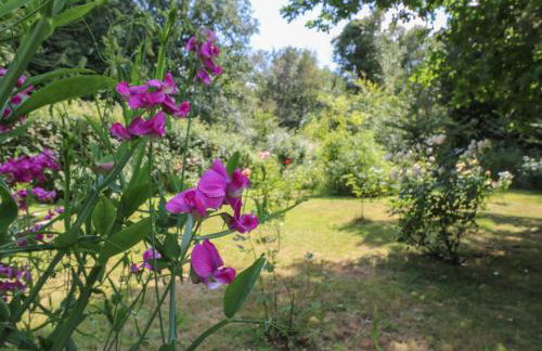 Curry Farm - Foto 30