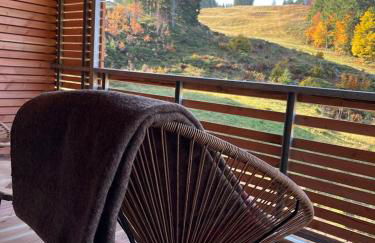 Feldberg Apartment - direkt an der Skipiste - mit Sauna - Foto 12