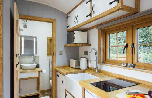 Cwtch Ffynnone Luxury Shepherds Hut - Foto 4