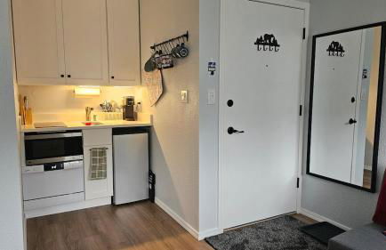 Mt Spokane ski condo - Foto 9