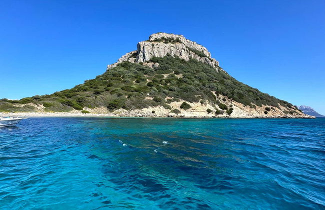 Avistamiento de delfines en la isla de Figarolo - Foto 5