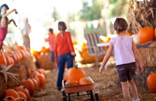 Private Home with Breathtaking Ocean Views - walk to Beaches Restaurants - Foto 33