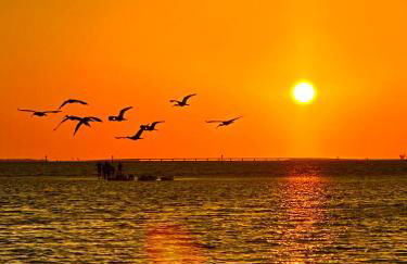 Belair Lane condo community pool managed by Sky Run Naples - Foto 43