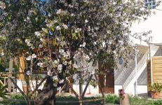 Agriturismo Adenzia - Foto 21