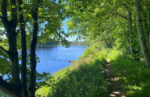 Little Rosslyn - Photo 11