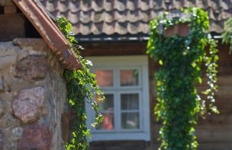 Dobra Chata Jaśkowo - Foto 71