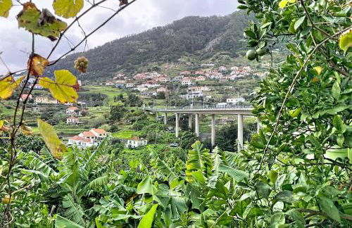 Villa Paixao by Atlantic Holiday - Photo 51