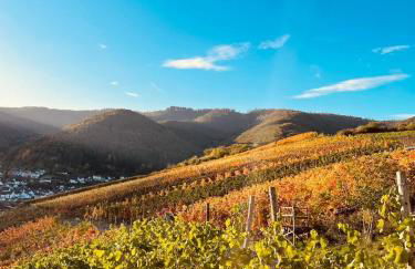 Knabbüüß - Foto 32