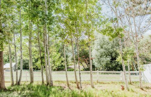 Near Lake, Trails & Logan, Free Paddleboards - Foto 26