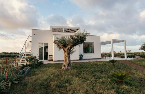 Martina's Vineyard - villa - Foto 35