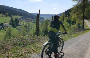 Haus Ludwig - Foto 56