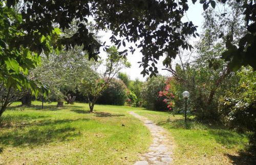 Podere Il Cerrone app Romilda con piscina - Foto 38