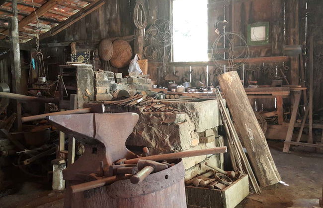 Escursione ad Antônio Prado - Foto 5