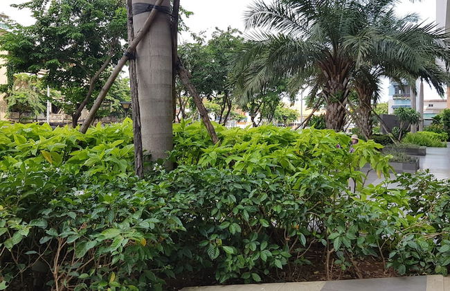 Herla Central Saigon - Foto 75