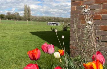 Little Harries Cottage - surrounded by open fields - Foto 33