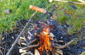 Organistowka - Foto 12