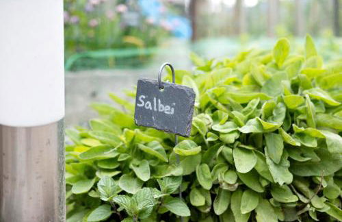 Bauernhof Sackgut - Foto 18