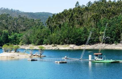 Canastro do Carvalho - Foto 19